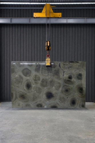 Verde Tortuga Quartzite