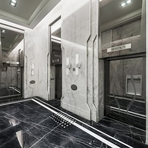 Bộ sưu tập đá ốp thang máy cao cấp An Phát Stone mẫu 41